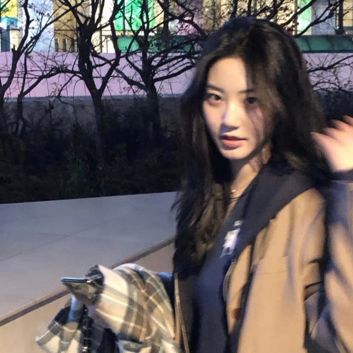 我的法兰西岁月